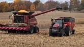 Combining Corn in Southern Ontario 2...