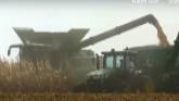 Corn Harvest 2024 - John Deere S770 ...