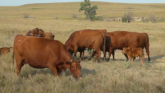 NRCS: Helping Farmers and Ranchers I...