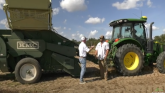 Impacts of Hurricane Helene Reflected in Pecan Harvest