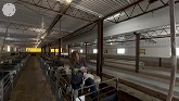 360 Ontario Sheep Farm