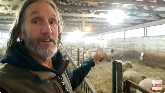 Preparing for Lambing Season | Handl...