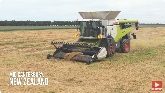 Claas Lexion 8700 Harvesting Cornsalad