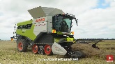 3X CLAAS LEXION 8800TT Harvesting Kale