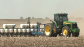 Soybean Disease Outlook: Key Risks &...