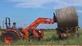 Kubota MX Series: Power, Versatility & Value You Can Rely On!