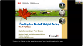 2025 Western Canada Feedlot Management School - Feeding Low Bushel Weight Barley