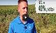 ILeVO® Protects Against Two Top Soybean Yield Robbers - SDS & SCN