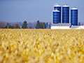 Grain Market Analysis - Elaine Kub