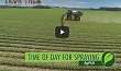 Iron Talk - Time Of Day For Spraying