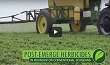 Soybean Post-Emerge Herbicides