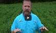 Stop Sequential Applications Of Dicamba In Soybean