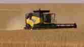  Wheat Grading For Export