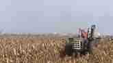  27 Tractors Picking Corn