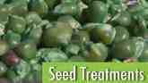 Corn Seed Treatments