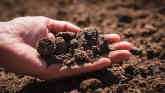 Do You Know What Potassium Means For Your Soil?