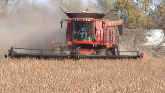 SD Soybean Harvest Yields Big Economi...