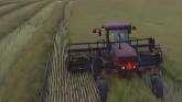  Canola Swathing In Central Alberta 