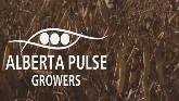  Alberta Pulse Growers Plot to Field