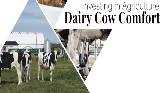  Investing in Agriculture: Dairy Cow Comfort