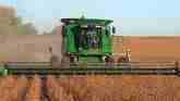 Soybean Research Advances Yields for ...