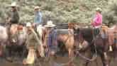 Human Resource Management on the Ranch
