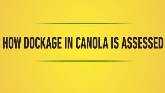  Canadian Canola Growers Association - Canola Dockage Assessment Process for Farmers