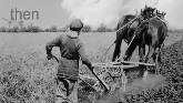  Agriculture Then and Now: Soil Preservation
