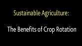  Sustainable Agriculture: The Benefits of Crop Rotation
