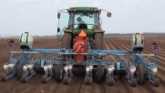 Seeding Carrots With A Monosem MS Carrot Seederr