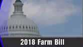 Farm Bill Discussions - Brad Lubben