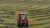  How do we address issues in agricult...