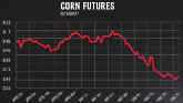 Cattle on Feed: Market Analysis - Mik...