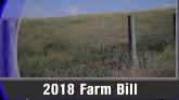 2018 Farm Bill - Brad Lubben