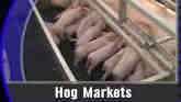 Hog Markets Reviewed By Lee Schulz
