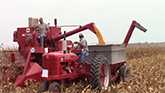 80 Years of Red Tractors