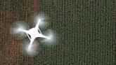 Growing Impact of Drones In Agriculture