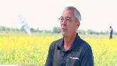  Leaders Wanted for Alberta Canola: Let Your Name Stand