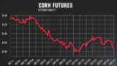 Grain Market Analysis - Todd Hultman