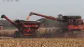 Iron Talk - Maxmizing Grain Quality A...