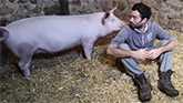 Vegan to Pig Farmer