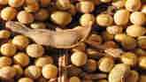 Farmers to Store More Soybeans This F...