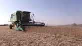 Farm Bill On Hold While China Waits T...
