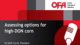 Assessing options for high DON corn