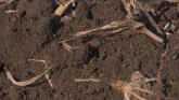 Ag Minute - Learning About Your Soil