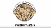 Secret Lands Farm - Ontario Sheep