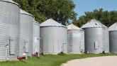 Farm Basics - Grain Bin Safety