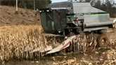 Gleaner R50 Harvesting in Standing Wa...
