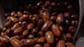 Pecan Industry Slips from High Point
