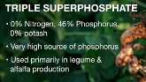 Types of phosphorus fertilizer